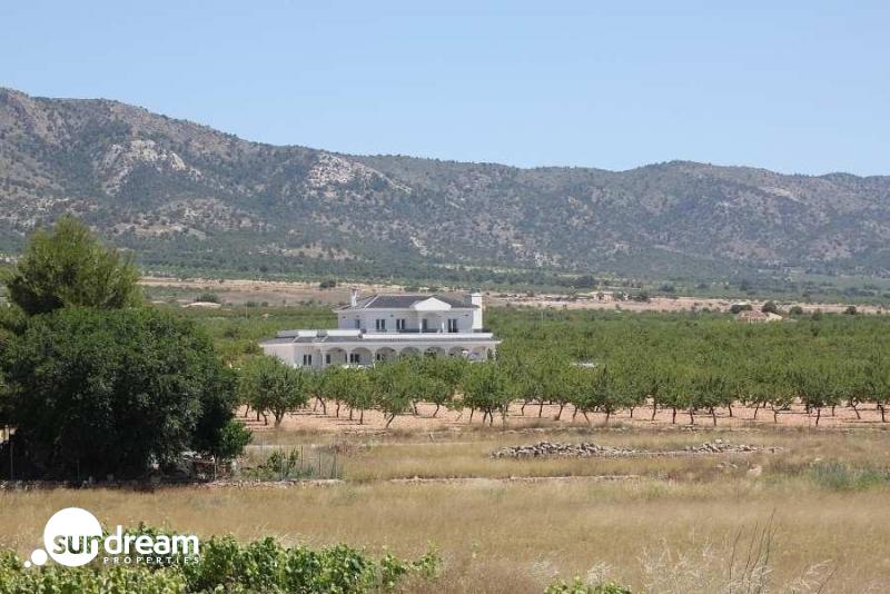 g_38935-15-15 Villa obra nueva en venta con mucho terreno en Pinoso