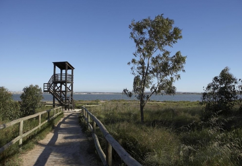 Villas de obra nueva en venta con piscina Torrevieja