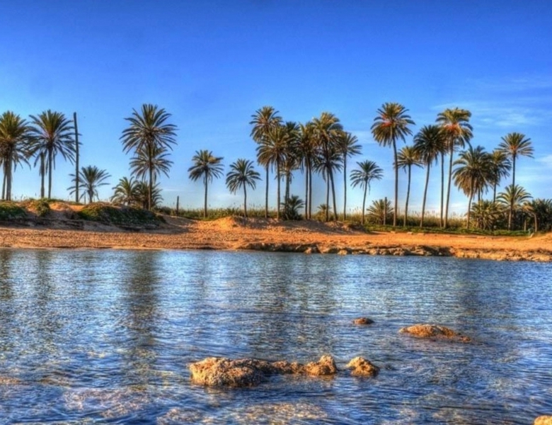 Ático a pocos metros de la Playa del Cura en Torrevieja