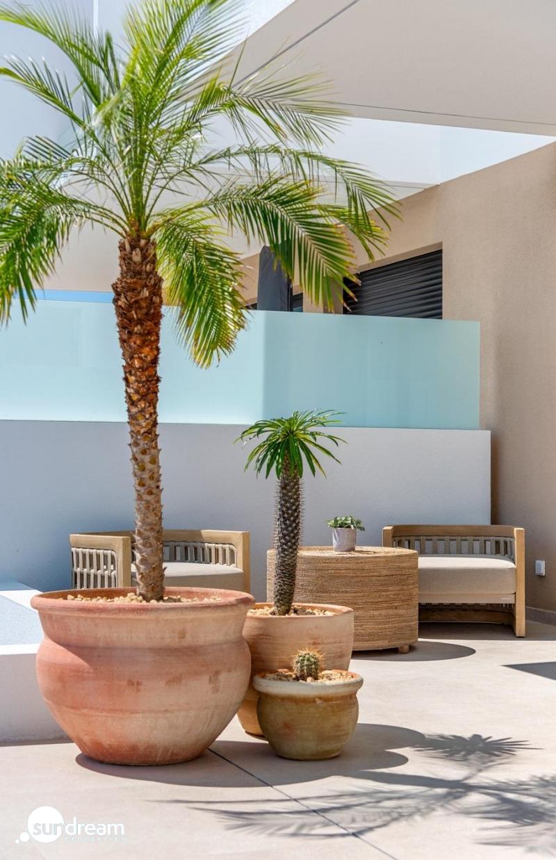 Villa modernas adosadas y pareadas a la venta en Dolores, Alicante