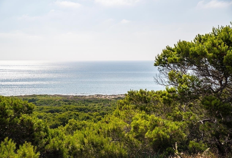 Ático de 3 dormitorios en frente del pinar y cerca de la playa en Guardamar del Segura.