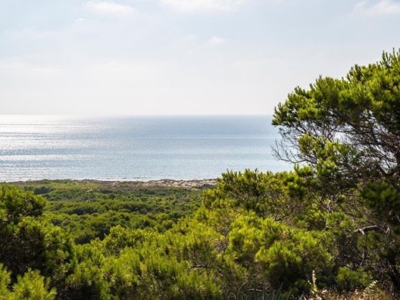 Apartamento de 3 dormitorios frente a la pinada y a pocos pasos de la playa a la venta en Guardamar del Segura