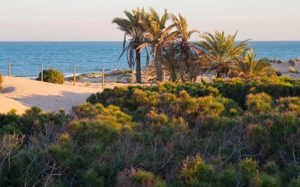 Apartamento de 3 dormitorios frente a la pinada y a pocos pasos de la playa a la venta en Guardamar del Segura