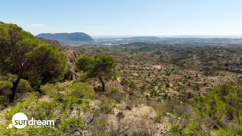 VILLA MODERNA DE NUEVA CONSTRUCCIÓN CON 3 DORMITORIOS Y PISCINA PRIVADA EN ASPE