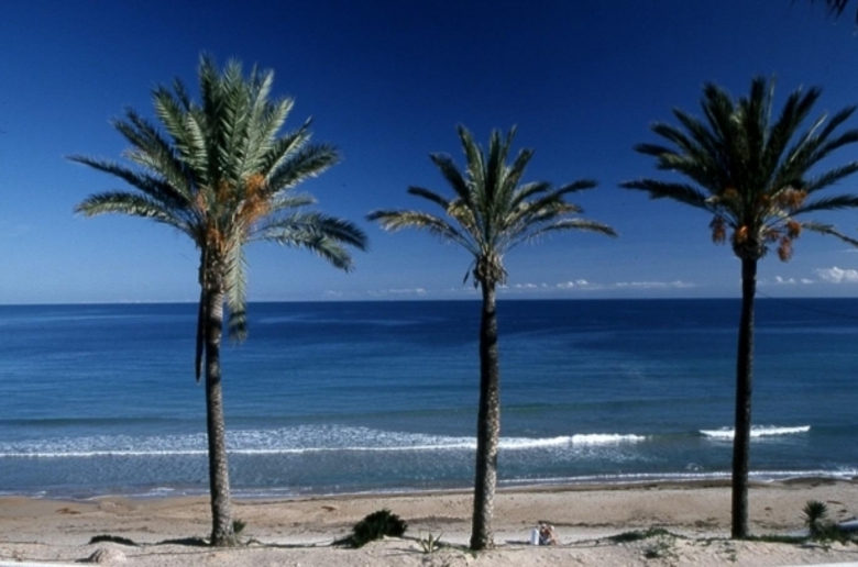 Bungalow de planta alta de 2 dormitorios con solarium privado a la venta en Pilar de la Horadada
