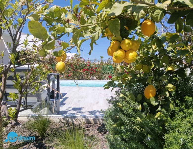 Villa en venta con piscina La Finca Golf Resort Algorfa