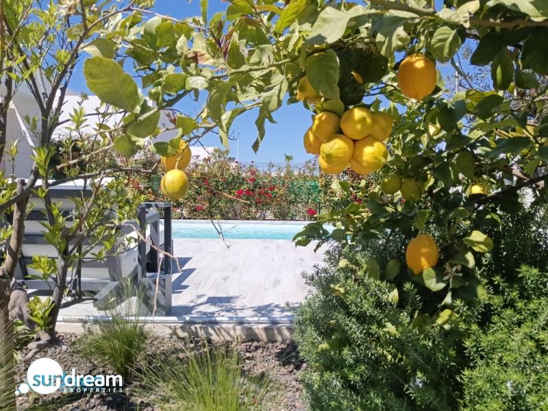 Villa en venta con piscina La Finca Golf Resort Algorfa