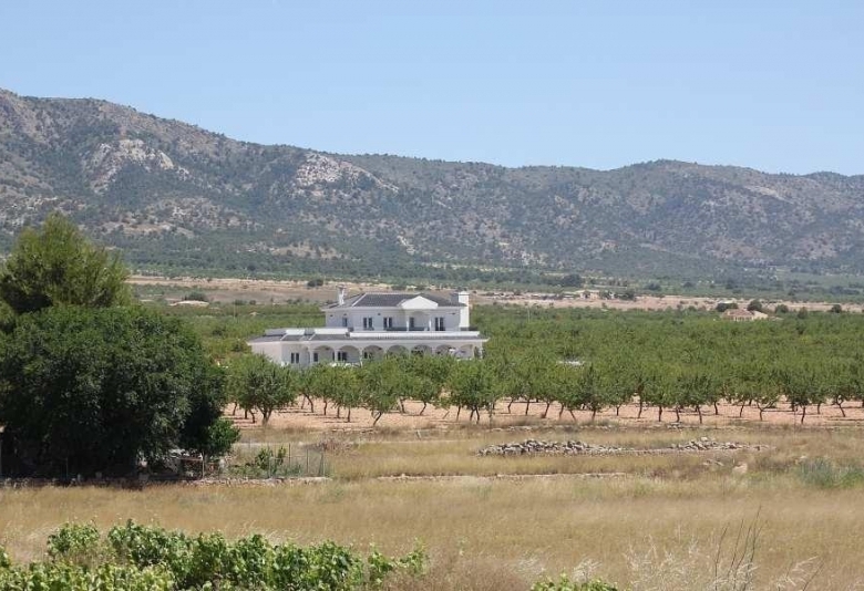 Villa obra nueva en venta con mucho terreno en Pinoso