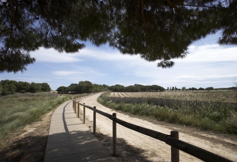 Villas de obra nueva en venta con piscina Torrevieja