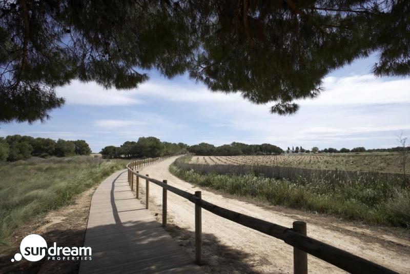 g_39380-14-40 Villas de obra nueva en venta con piscina Torrevieja