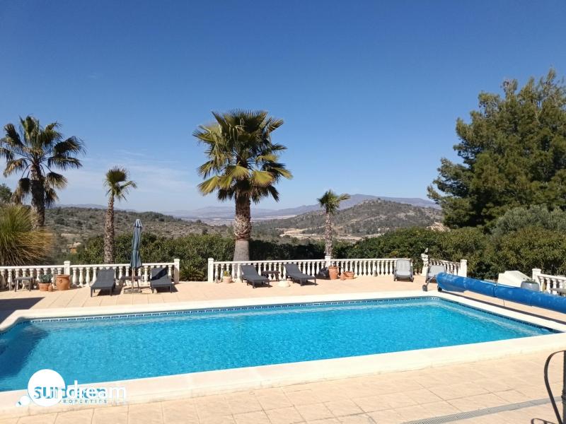 g_42591-17-24 Villa en venta con piscina y terreno El Pinoso Abanilla