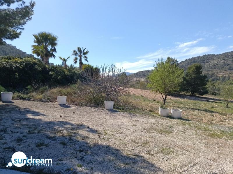 g_42591-17-29 Villa en venta con piscina y terreno El Pinoso Abanilla