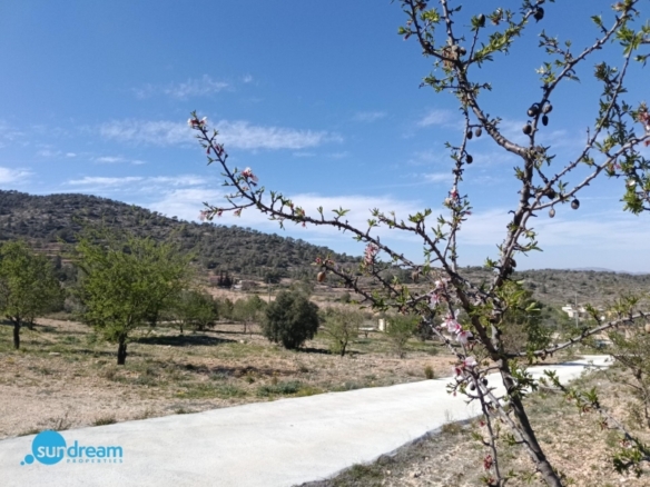 Villa en venta con piscina y terreno El Pinoso Abanilla