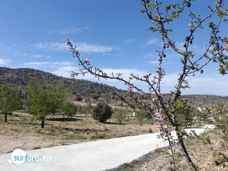 Villa en venta con piscina y terreno El Pinoso Abanilla