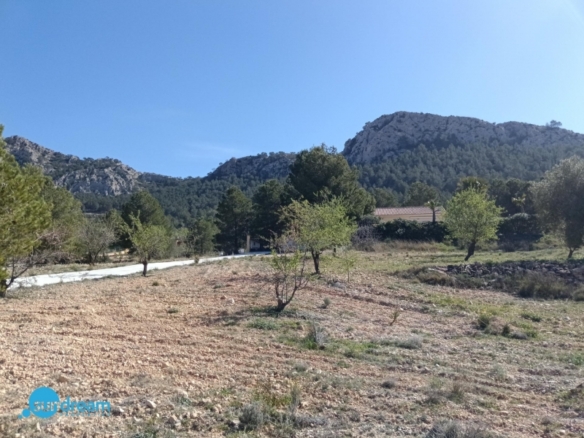 Villa en venta con piscina y terreno El Pinoso Abanilla