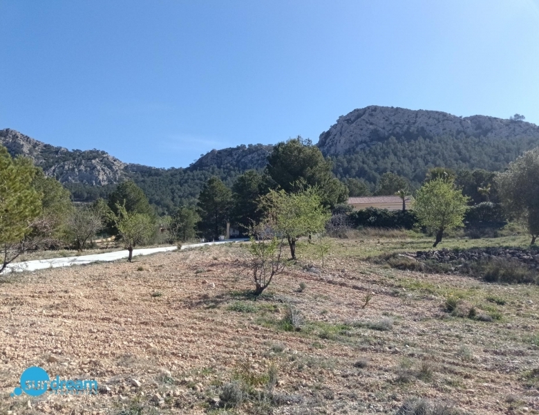 Villa en venta con piscina y terreno El Pinoso Abanilla