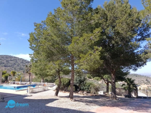 Villa en venta con piscina y terreno El Pinoso Abanilla