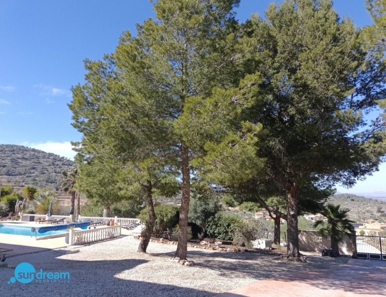 Villa en venta con piscina y terreno El Pinoso Abanilla
