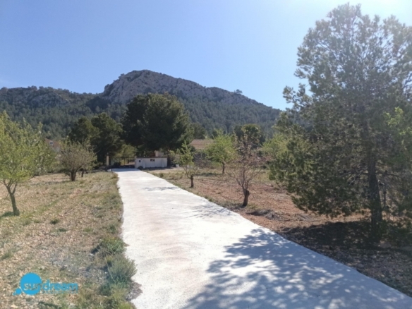 Villa en venta con piscina y terreno El Pinoso Abanilla