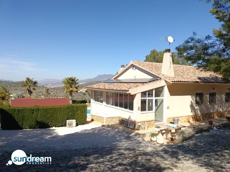 g_42591-17-5 Villa en venta con piscina y terreno El Pinoso Abanilla