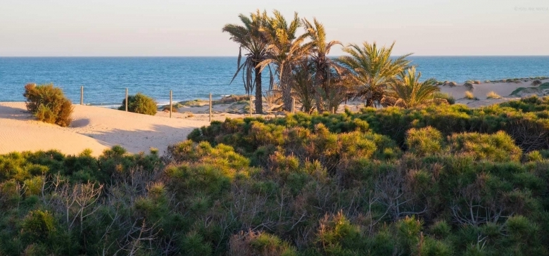 Ático de nueva construcción con 2 dormitorios cerca de la playa y del puerto deportivo en Guardamar del Segura