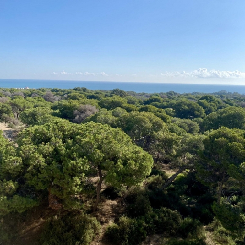 Ático de nueva construcción con 2 dormitorios a 700 m. de la playa en Guardamar del Segura