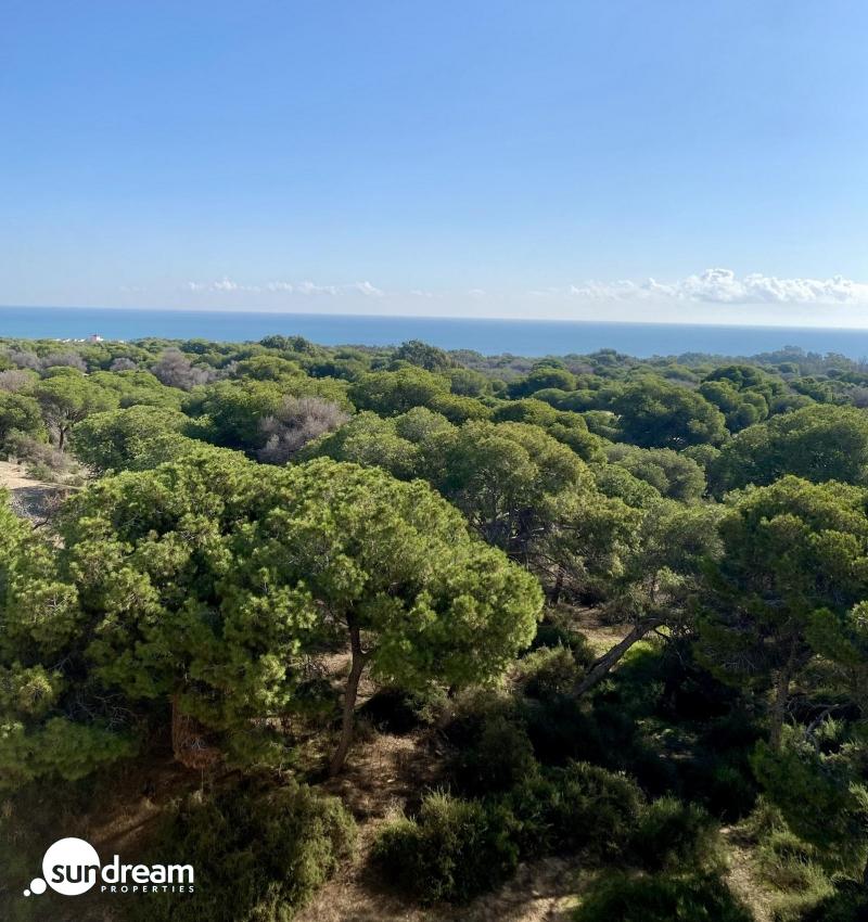 Ático de nueva construcción con 2 dormitorios a 700 m. de la playa en Guardamar del Segura