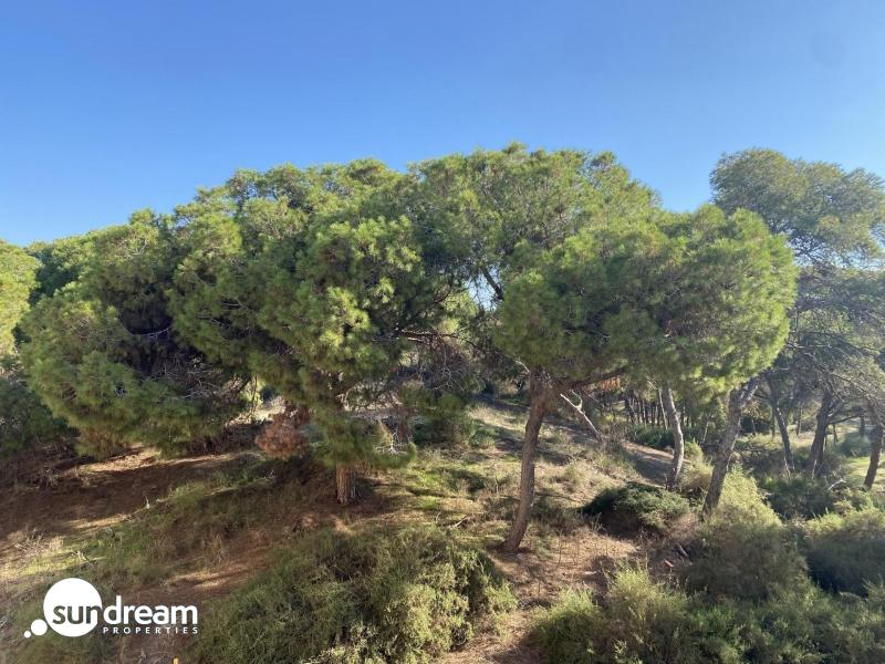 Apartamento de planta baja con 2 dormitorios cerca de la playa en Guardamar del Segura