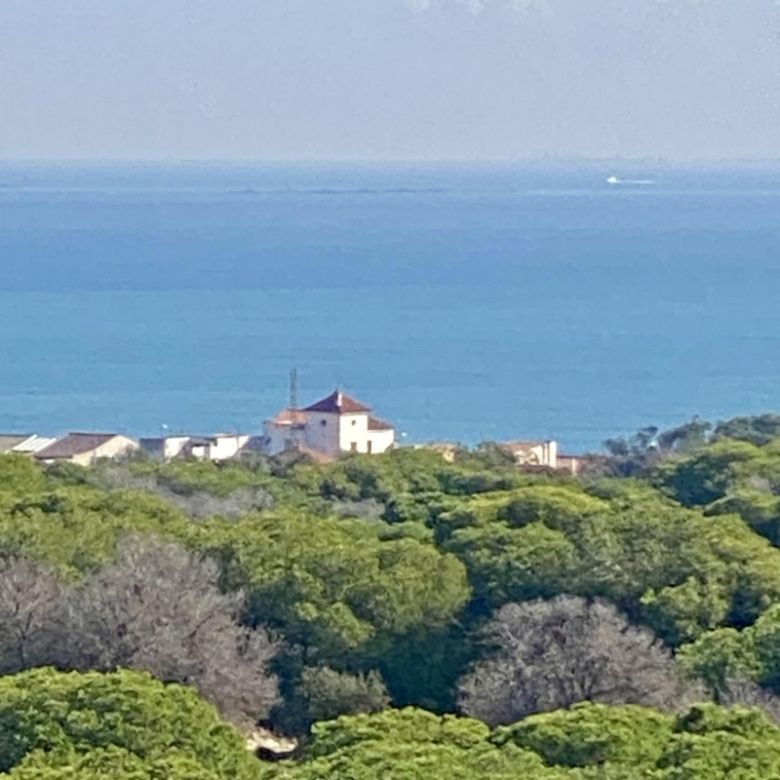Apartamento de nueva construcción de 2 dormitorios cerca de la playa y el pinar en Guardamar del Segura