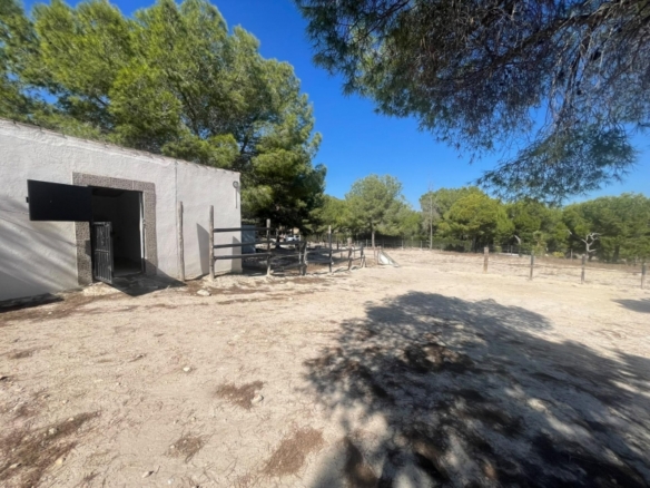 FINCA ECUESTRE MEDITERRÁNEA CERCA DEL LAGO EN TORREMENDO – ALICANTE
