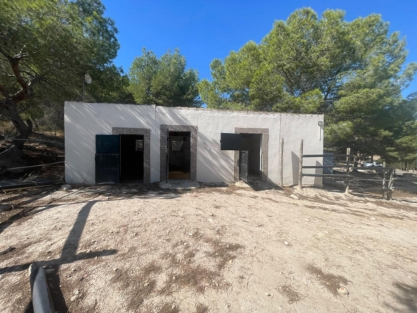 FINCA ECUESTRE MEDITERRÁNEA CERCA DEL LAGO EN TORREMENDO – ALICANTE