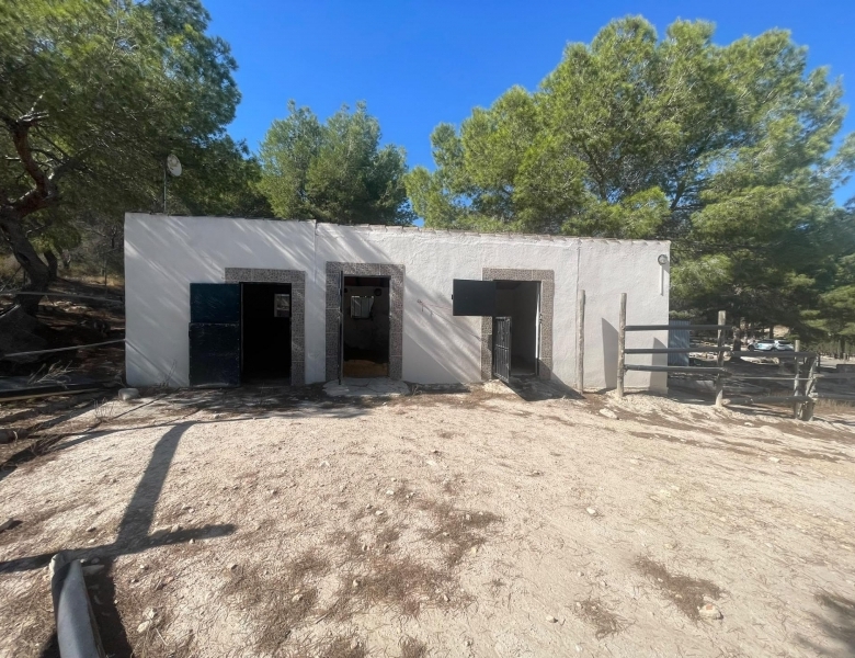 FINCA ECUESTRE MEDITERRÁNEA CERCA DEL LAGO EN TORREMENDO – ALICANTE