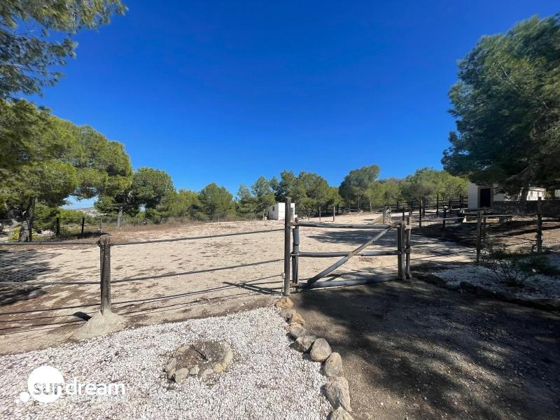 FINCA ECUESTRE MEDITERRÁNEA CERCA DEL LAGO EN TORREMENDO – ALICANTE