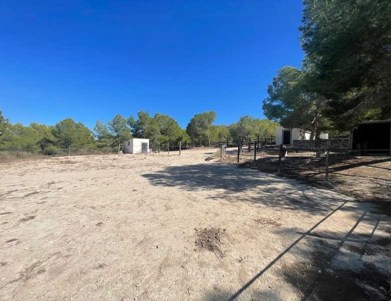 FINCA ECUESTRE MEDITERRÁNEA CERCA DEL LAGO EN TORREMENDO – ALICANTE
