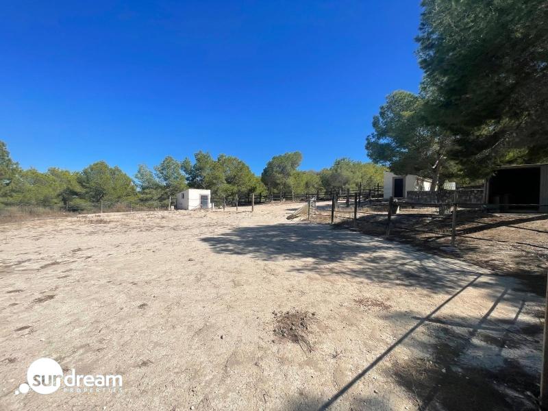 g_43691-2-7 FINCA ECUESTRE MEDITERRÁNEA CERCA DEL LAGO EN TORREMENDO – ALICANTE