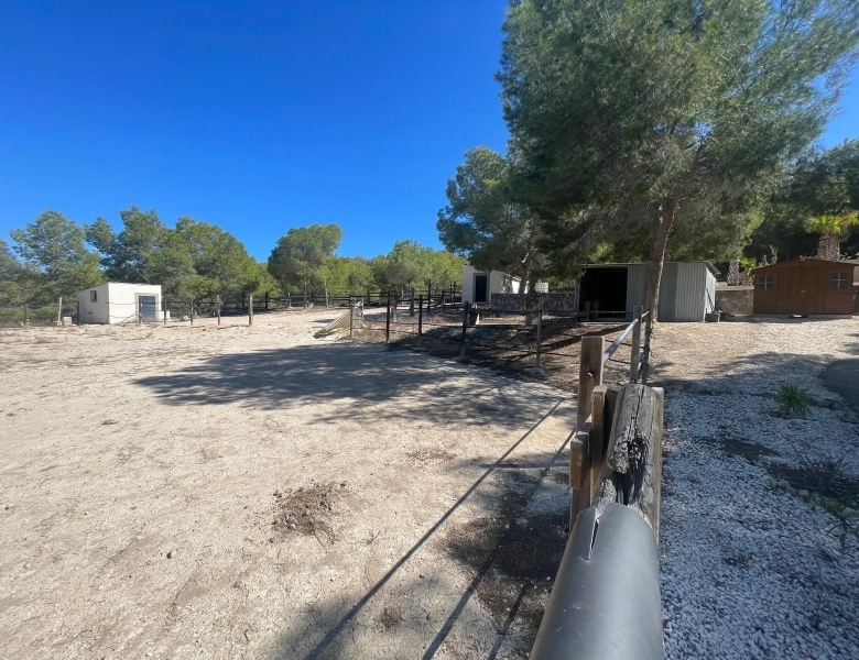 FINCA ECUESTRE MEDITERRÁNEA CERCA DEL LAGO EN TORREMENDO – ALICANTE