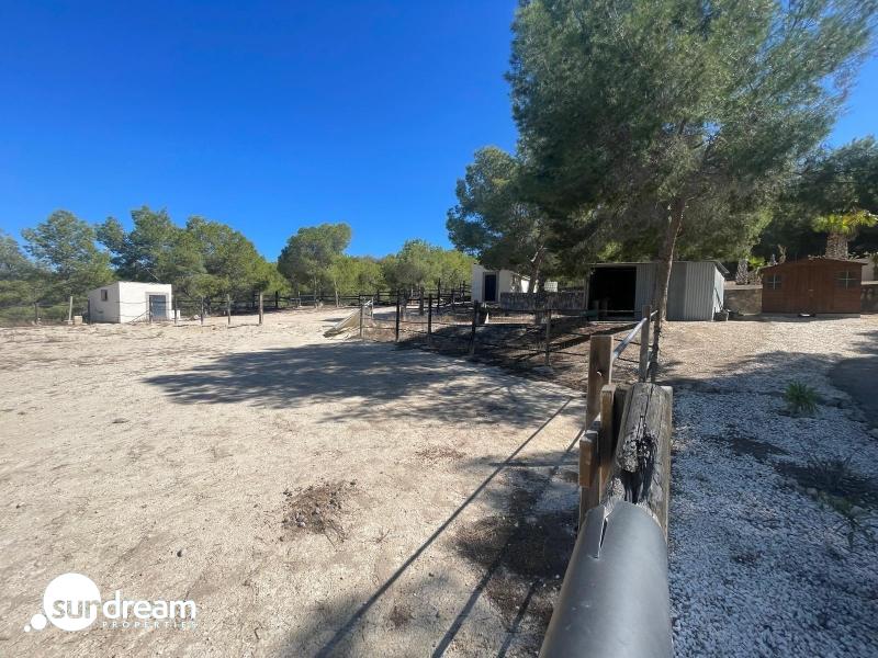 FINCA ECUESTRE MEDITERRÁNEA CERCA DEL LAGO EN TORREMENDO – ALICANTE