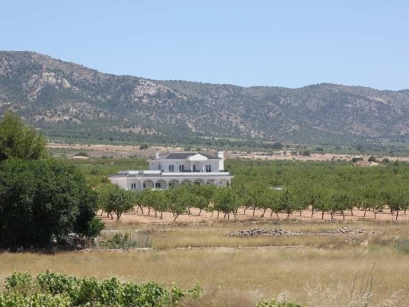 Villa obra nueva en venta con mucho terreno en Pinoso