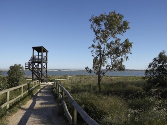 Villas de obra nueva en venta con piscina Torrevieja