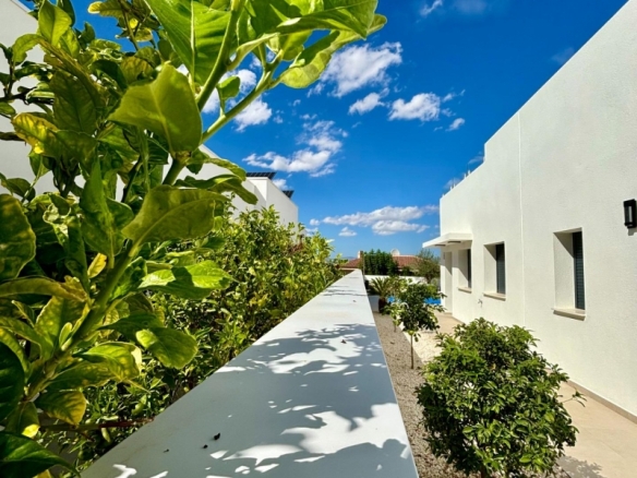 VILLA DE UNA PLANTA, TOTALMENTE PERSONALIZABLE EN CIUDAD QUESADA