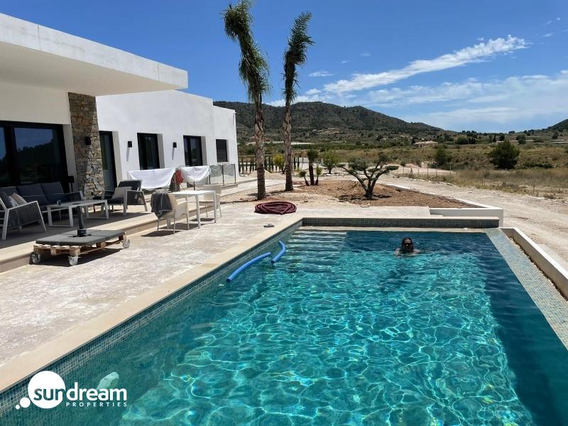Villa de obra nueva con piscina y terreno en Pinoso
