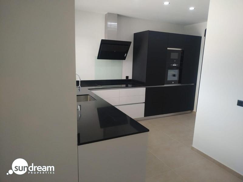 Villa de obra nueva con piscina y terreno en Pinoso