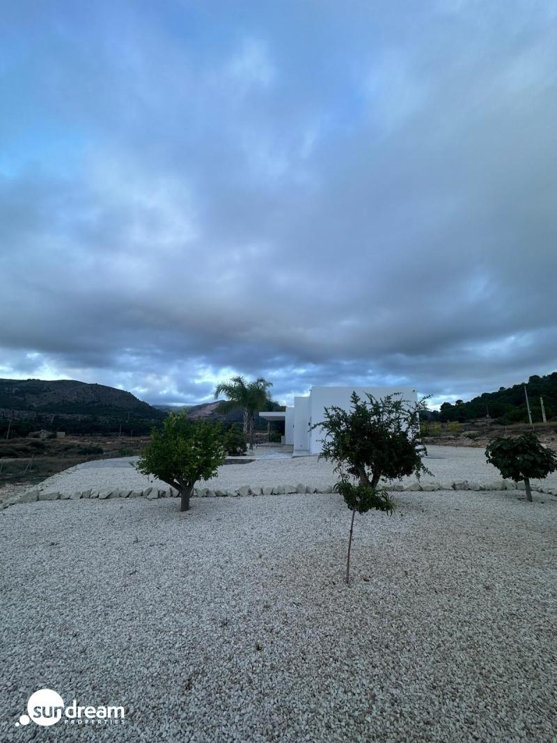Villa de obra nueva con piscina y terreno en Pinoso