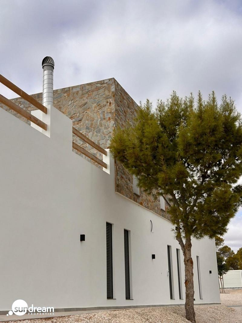 g_43502-46-29 Villa a medida de 4 dormitorios y piscina privada rodeada de naturaleza en Pinoso(Alicante)