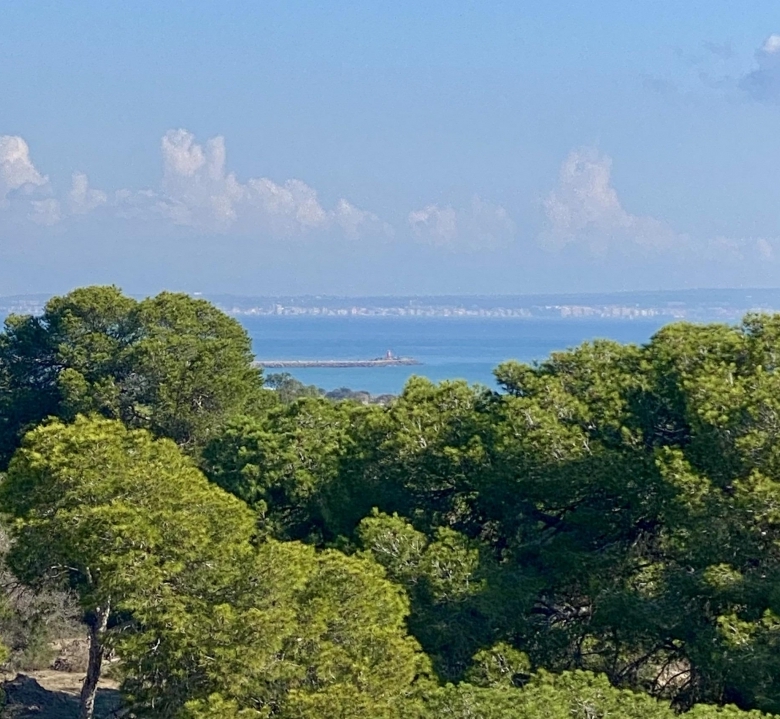 Ático de nueva construcción con 2 dormitorios a 700 m. de la playa en Guardamar del Segura