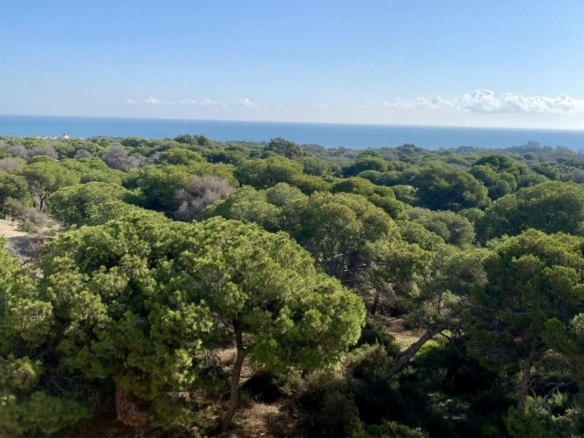 Ático de nueva construcción con 2 dormitorios a 700 m. de la playa en Guardamar del Segura
