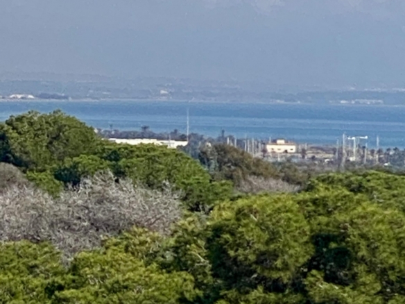 Ático de nueva construcción con 2 dormitorios a 700 m. de la playa en Guardamar del Segura