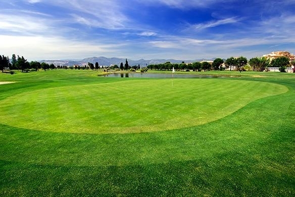 Piso en venta obra nueva con piscina Oliva Nova Golf